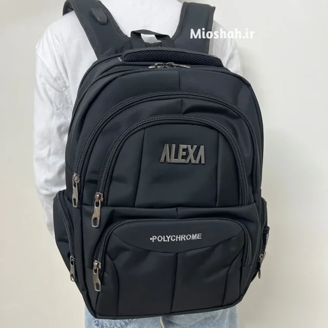 استایل کوله پشتی دانشجویی پسرانه Alexa رنگ مشکی