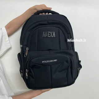 کوله پشتی دانشجویی پسرانه Alexa رنگ مشکی - روی دست